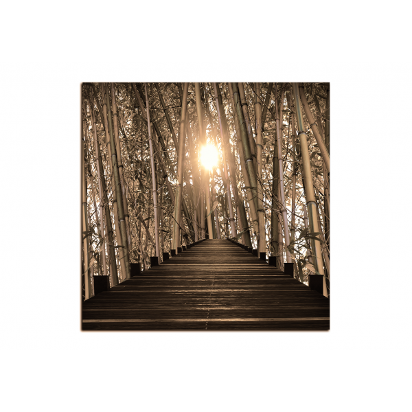 Obraz na plátně - Dřevěná promenáda v bambusovém lese - čtverec